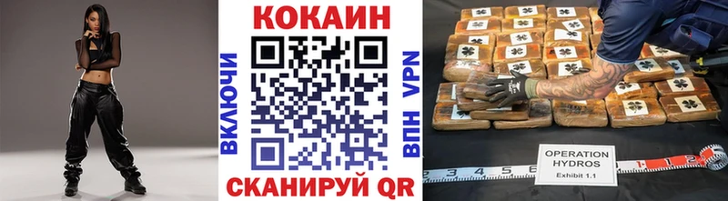 Cocaine Эквадор  kraken как зайти  Орехово-Зуево  дарнет шоп 