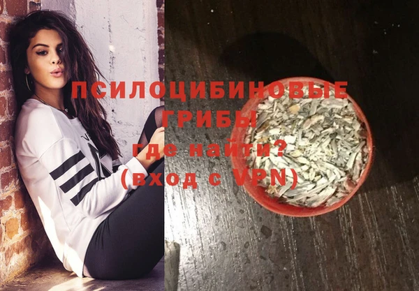 молекула духа Вязники
