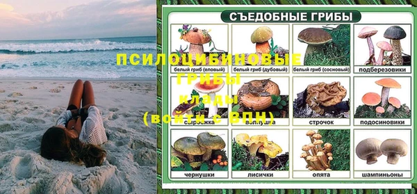 ECSTASY Вяземский