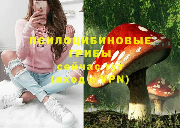 дживик Волоколамск
