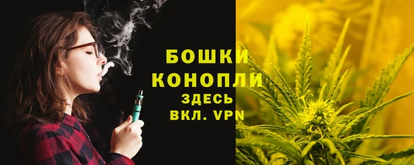 молекула духа Вязники