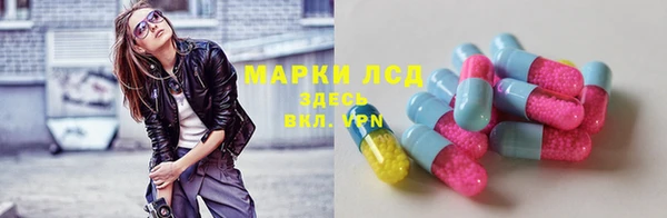ECSTASY Вяземский
