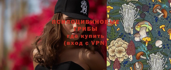 молекула духа Вязники