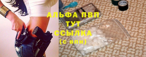 ECSTASY Вяземский